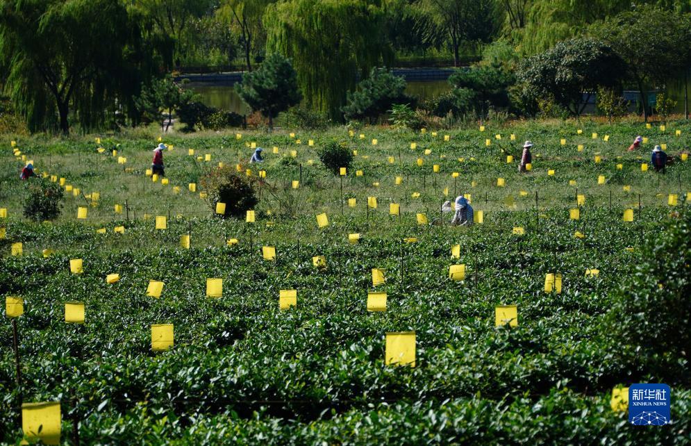 小太阳网站首页登录
